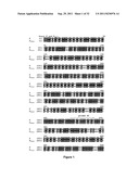 VECTOR COMPRISING MULTIPLE HOMOLOGOUS NUCLEOTIDE SEQUENCES diagram and image