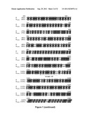 VECTOR COMPRISING MULTIPLE HOMOLOGOUS NUCLEOTIDE SEQUENCES diagram and image