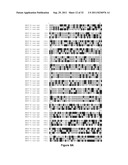 VECTOR COMPRISING MULTIPLE HOMOLOGOUS NUCLEOTIDE SEQUENCES diagram and image