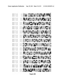 VECTOR COMPRISING MULTIPLE HOMOLOGOUS NUCLEOTIDE SEQUENCES diagram and image