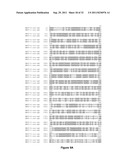 VECTOR COMPRISING MULTIPLE HOMOLOGOUS NUCLEOTIDE SEQUENCES diagram and image