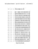 VECTOR COMPRISING MULTIPLE HOMOLOGOUS NUCLEOTIDE SEQUENCES diagram and image