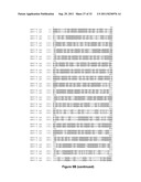 VECTOR COMPRISING MULTIPLE HOMOLOGOUS NUCLEOTIDE SEQUENCES diagram and image