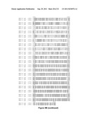 VECTOR COMPRISING MULTIPLE HOMOLOGOUS NUCLEOTIDE SEQUENCES diagram and image