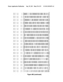 VECTOR COMPRISING MULTIPLE HOMOLOGOUS NUCLEOTIDE SEQUENCES diagram and image