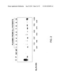 MEASURING CIRCULATING THERAPEUTIC ANTIBODY, ANTIGEN AND ANTIGEN/ANTIBODY     COMPLEXES USING ELISA ASSAYS diagram and image