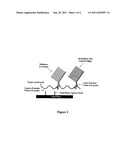 Methods and Reagents for Shortening Incubation Times in Hybridization     Assays diagram and image