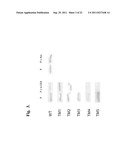 CARBOHYDRATE BINDING MODULE WITH AFFINITY FOR INSOLUBLE XYLAN diagram and image