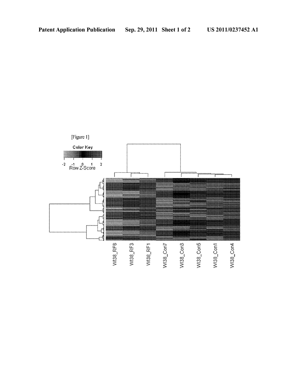 MARKER FOR DIAGNOSIS OF EXPOSURE TO ELECTROMAGNETIC RADIATION AND     DIAGNOSTIC KIT COMPRISING THE SAME - diagram, schematic, and image 02