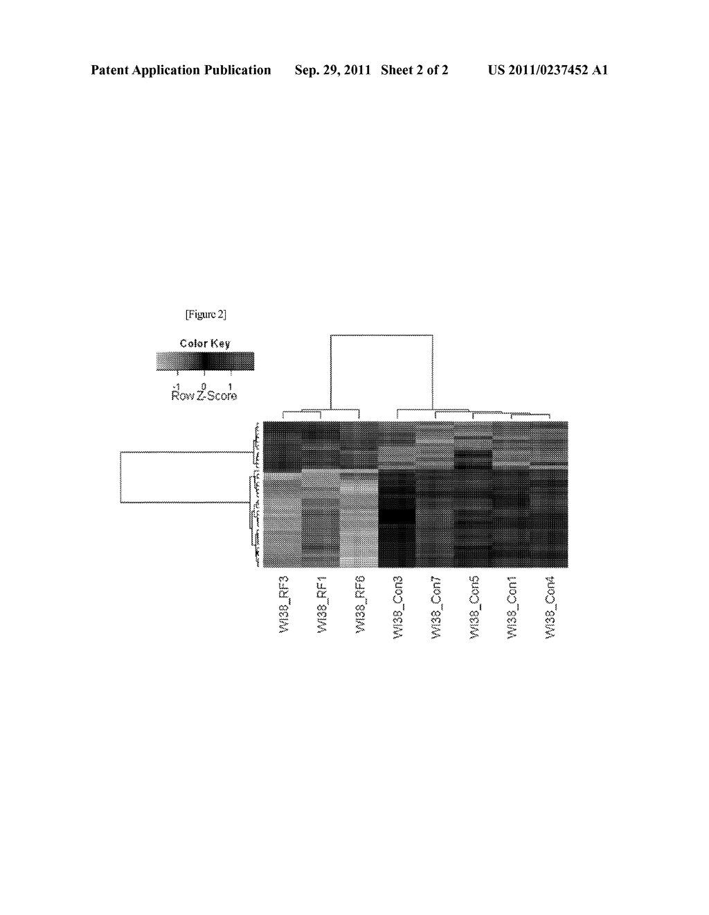 MARKER FOR DIAGNOSIS OF EXPOSURE TO ELECTROMAGNETIC RADIATION AND     DIAGNOSTIC KIT COMPRISING THE SAME - diagram, schematic, and image 03