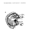 MODULATORS OF RNA RIBOSWITCHES diagram and image