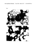 MODULATORS OF RNA RIBOSWITCHES diagram and image