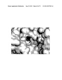 MODULATORS OF RNA RIBOSWITCHES diagram and image