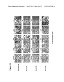 BIARYL COMPOSITIONS AND METHODS FOR MODULATING A KINASE CASCADE diagram and image