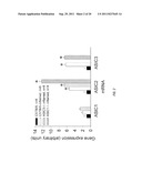 USE OF RNAi TECHNOLOGY TO INHIBIT ASIC3 diagram and image