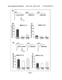 USE OF RNAi TECHNOLOGY TO INHIBIT ASIC3 diagram and image