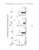 USE OF RNAi TECHNOLOGY TO INHIBIT ASIC3 diagram and image