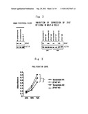 INHIBITORY RNA FOR MODULATING THE MOLECULAR FUNCTION OF ZFAT GENE diagram and image