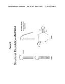 RNA INTERFERENCE IN SKIN INDICATIONS diagram and image