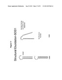 RNA INTERFERENCE IN SKIN INDICATIONS diagram and image