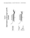 RNA INTERFERENCE IN SKIN INDICATIONS diagram and image