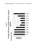 RNA INTERFERENCE IN SKIN INDICATIONS diagram and image