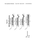 RNA INTERFERENCE IN SKIN INDICATIONS diagram and image