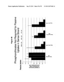 RNA INTERFERENCE IN SKIN INDICATIONS diagram and image