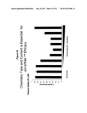 RNA INTERFERENCE IN SKIN INDICATIONS diagram and image