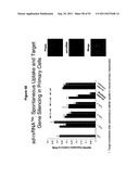 RNA INTERFERENCE IN SKIN INDICATIONS diagram and image