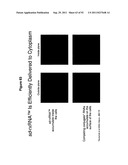 RNA INTERFERENCE IN SKIN INDICATIONS diagram and image