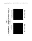 RNA INTERFERENCE IN SKIN INDICATIONS diagram and image