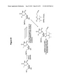 RNA INTERFERENCE IN SKIN INDICATIONS diagram and image