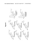 RNA INTERFERENCE IN SKIN INDICATIONS diagram and image