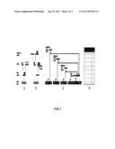 Detection and destruction of cancer cells using programmed genetic vectors diagram and image