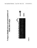 METHOD TO INHIBIT CELL GROWTH USING OLIGONUCLEOTIDES diagram and image