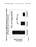 METHOD TO INHIBIT CELL GROWTH USING OLIGONUCLEOTIDES diagram and image