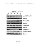 METHOD TO INHIBIT CELL GROWTH USING OLIGONUCLEOTIDES diagram and image