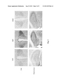 HYDROXYBUTYRATE ESTER AND MEDICAL USE THEREOF diagram and image