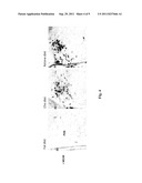 HYDROXYBUTYRATE ESTER AND MEDICAL USE THEREOF diagram and image