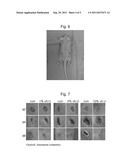 COSMETIC COMPOSITION COMPRISING VITAMIN U AS ACTIVE INGREDIENT FOR HEALING     WOUNDS AND REDUCING WRINKLES diagram and image