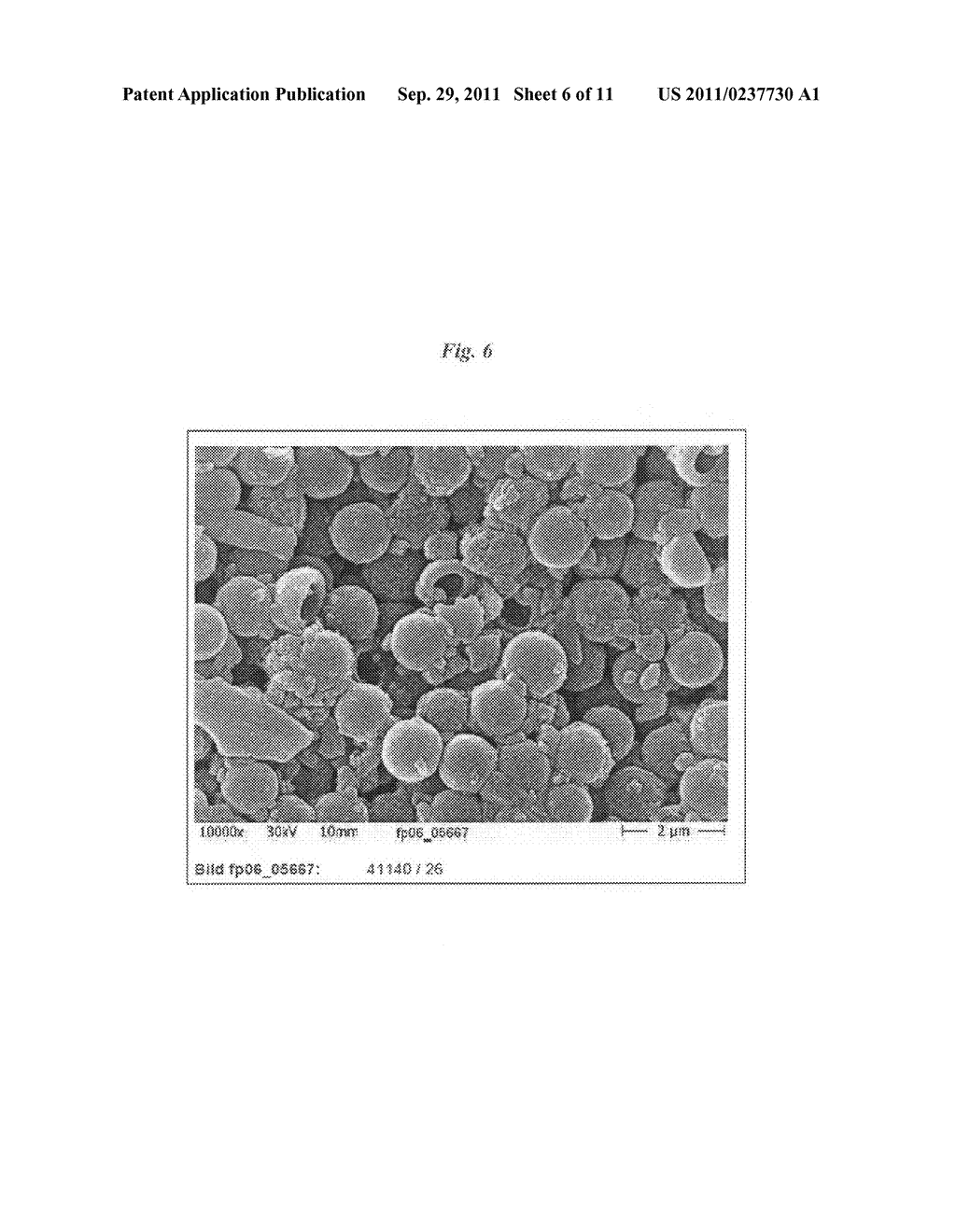 Composites of inorganic and/or organic microparticles and nano-calcium     carbonate particles - diagram, schematic, and image 07