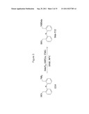 SPATIALLY-DEFINED MACROCYCLIC COMPOUNDS USEFUL FOR DRUG DISCOVERY diagram and image