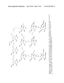 SPATIALLY-DEFINED MACROCYCLIC COMPOUNDS USEFUL FOR DRUG DISCOVERY diagram and image