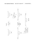 SPATIALLY-DEFINED MACROCYCLIC COMPOUNDS USEFUL FOR DRUG DISCOVERY diagram and image