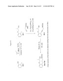 SPATIALLY-DEFINED MACROCYCLIC COMPOUNDS USEFUL FOR DRUG DISCOVERY diagram and image