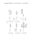 SPATIALLY-DEFINED MACROCYCLIC COMPOUNDS USEFUL FOR DRUG DISCOVERY diagram and image