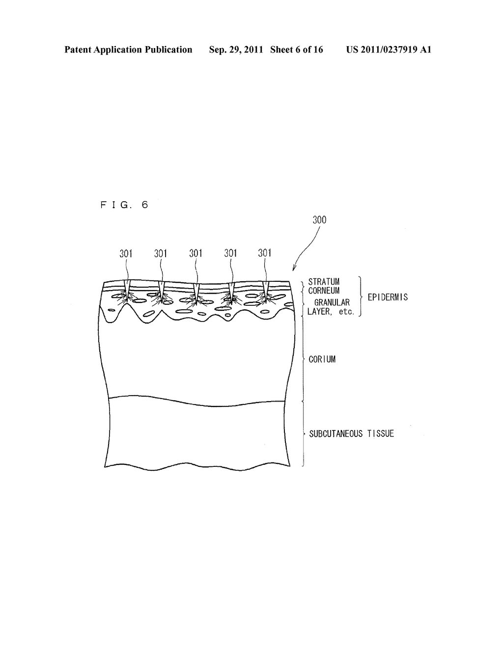 DIAGNOSIS SUPPORT METHOD, DIAGNOSIS SUPPORT SYSTEM, AND DIAGNOSIS SUPPORT     APPARATUS - diagram, schematic, and image 07