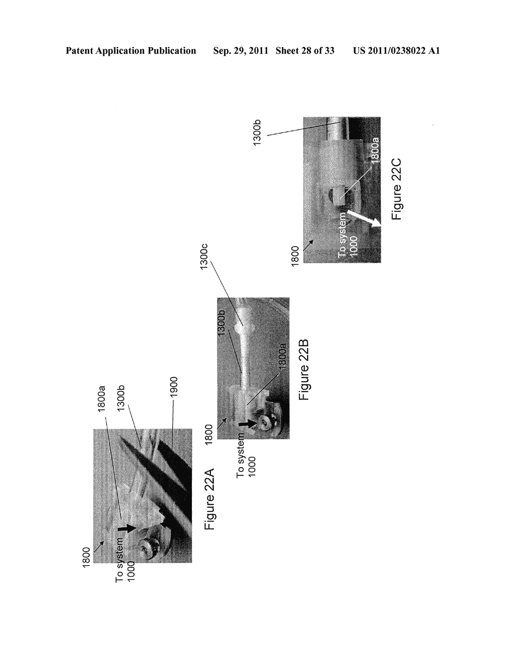 CORPOREAL DRAINAGE SYSTEM - diagram, schematic, and image 29