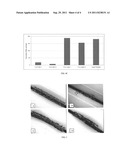 SURFACE TREATED BIOERODIBLE METAL ENDOPROSTHESES diagram and image